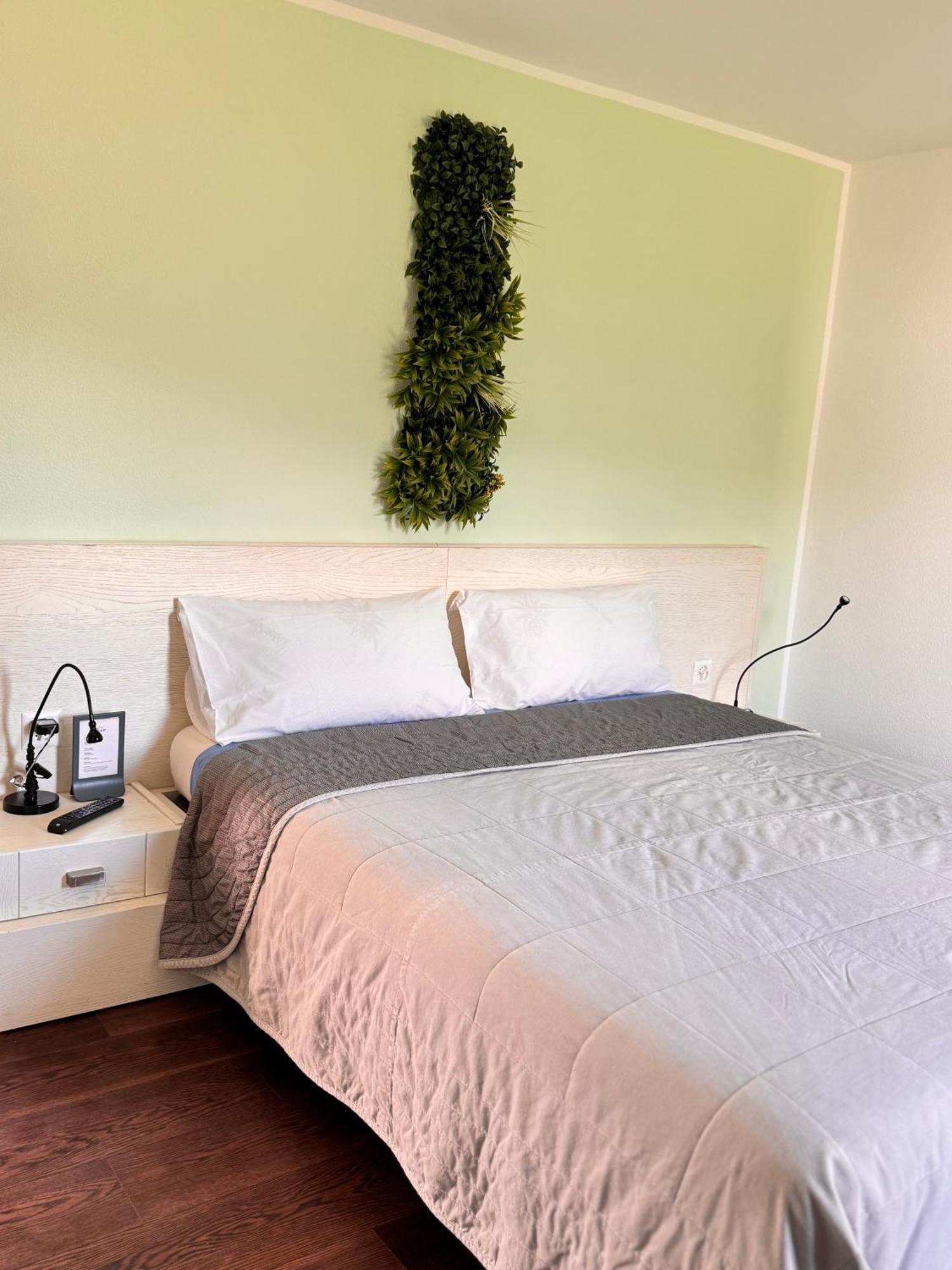 Viva Bacco Bed & Breakfast Gambarogno ภายนอก รูปภาพ