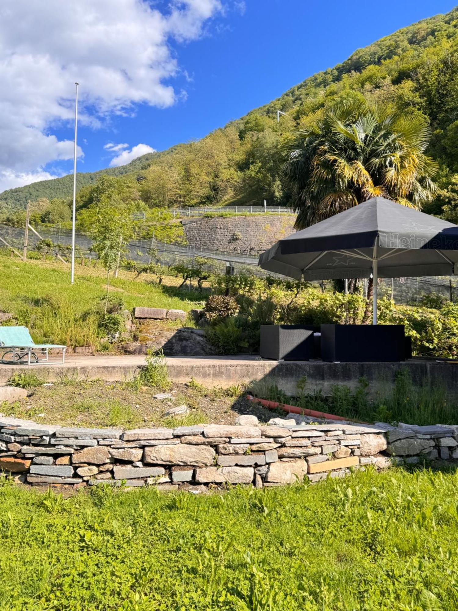 Viva Bacco Bed & Breakfast Gambarogno ภายนอก รูปภาพ