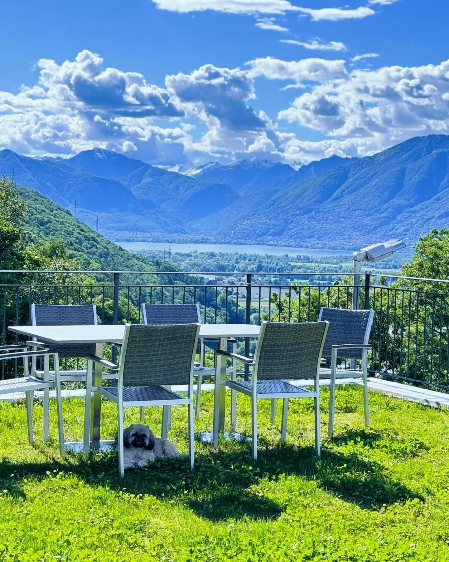 Viva Bacco Bed & Breakfast Gambarogno ภายนอก รูปภาพ