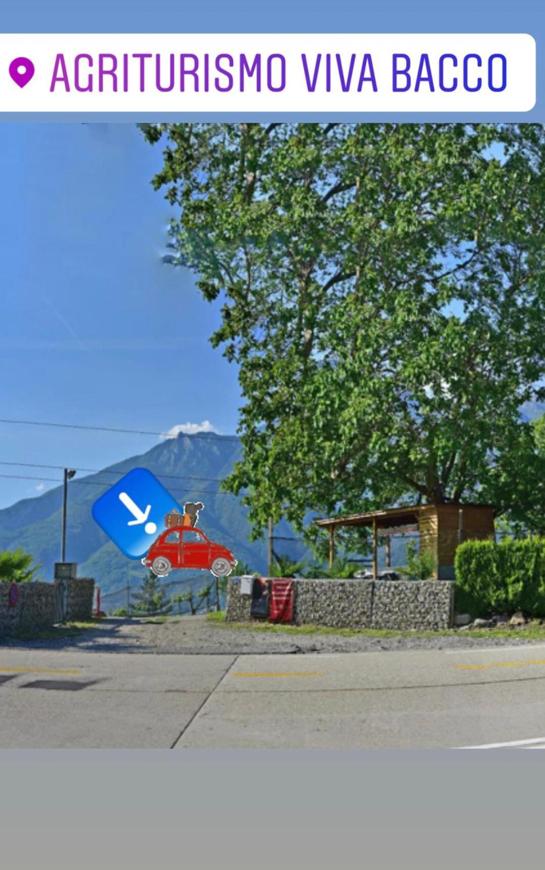 Viva Bacco Bed & Breakfast Gambarogno ภายนอก รูปภาพ