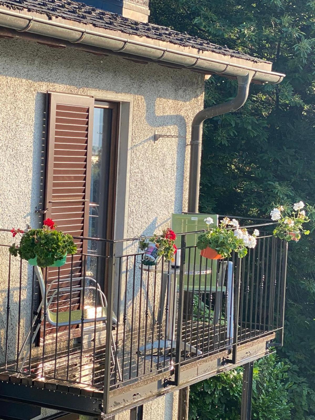 Viva Bacco Bed & Breakfast Gambarogno ภายนอก รูปภาพ