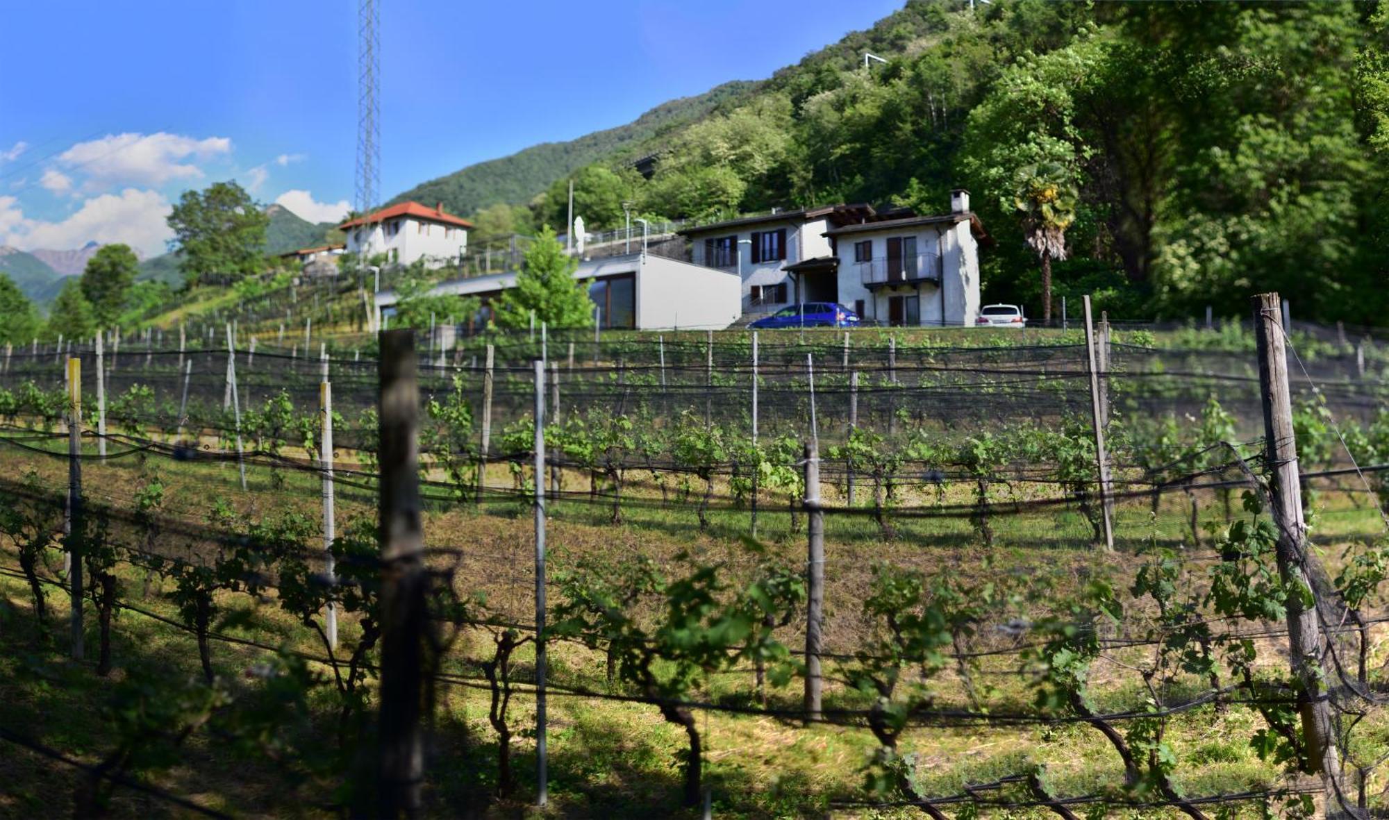 Viva Bacco Bed & Breakfast Gambarogno ภายนอก รูปภาพ