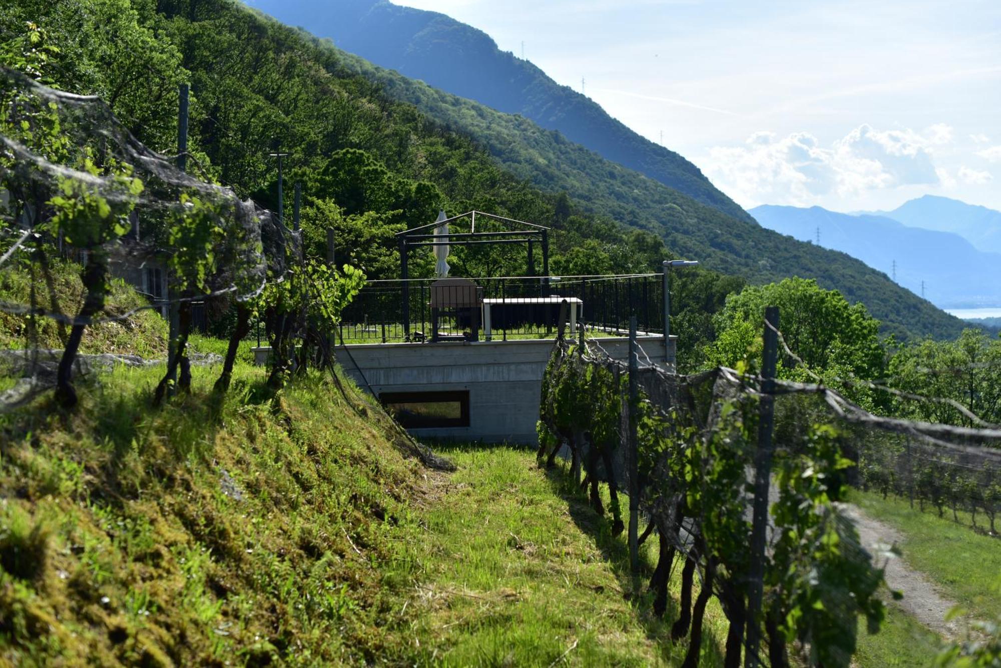 Viva Bacco Bed & Breakfast Gambarogno ภายนอก รูปภาพ