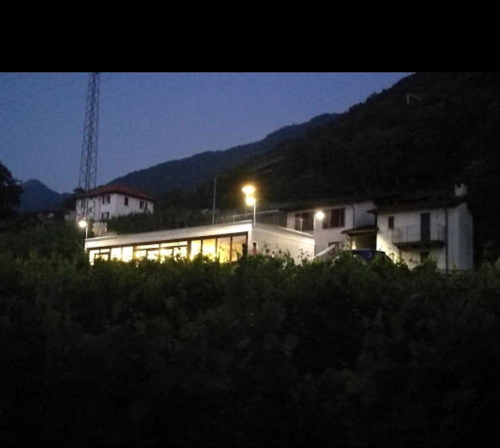Viva Bacco Bed & Breakfast Gambarogno ภายนอก รูปภาพ