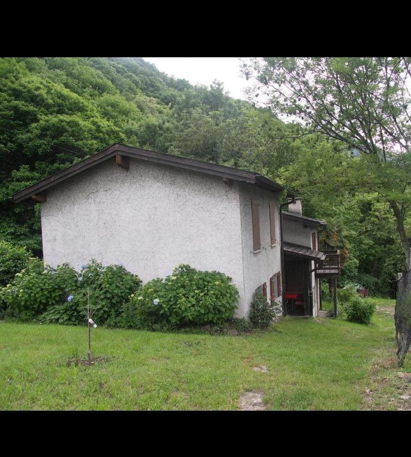 Viva Bacco Bed & Breakfast Gambarogno ภายนอก รูปภาพ