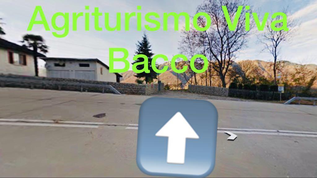 Viva Bacco Bed & Breakfast Gambarogno ภายนอก รูปภาพ